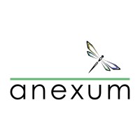anexum_gmbh_logo